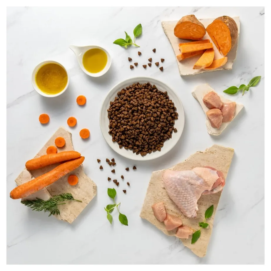 VetExpert Raw Paleo Ultra Mini Adult Turkey 750 g kuivtoit väikest tõugu täiskasvanud koertele, monoproteiinne, teravilja- ja gluteenivaba – 4