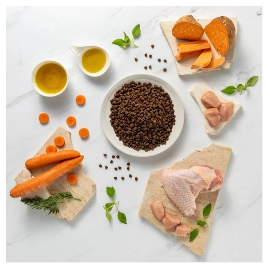 VetExpert Raw Paleo Ultra Mini Puppy Turkey 8 kg teraviljavaba monoproteiinne kuivtoit väikest tõugu kutsikatele – 4