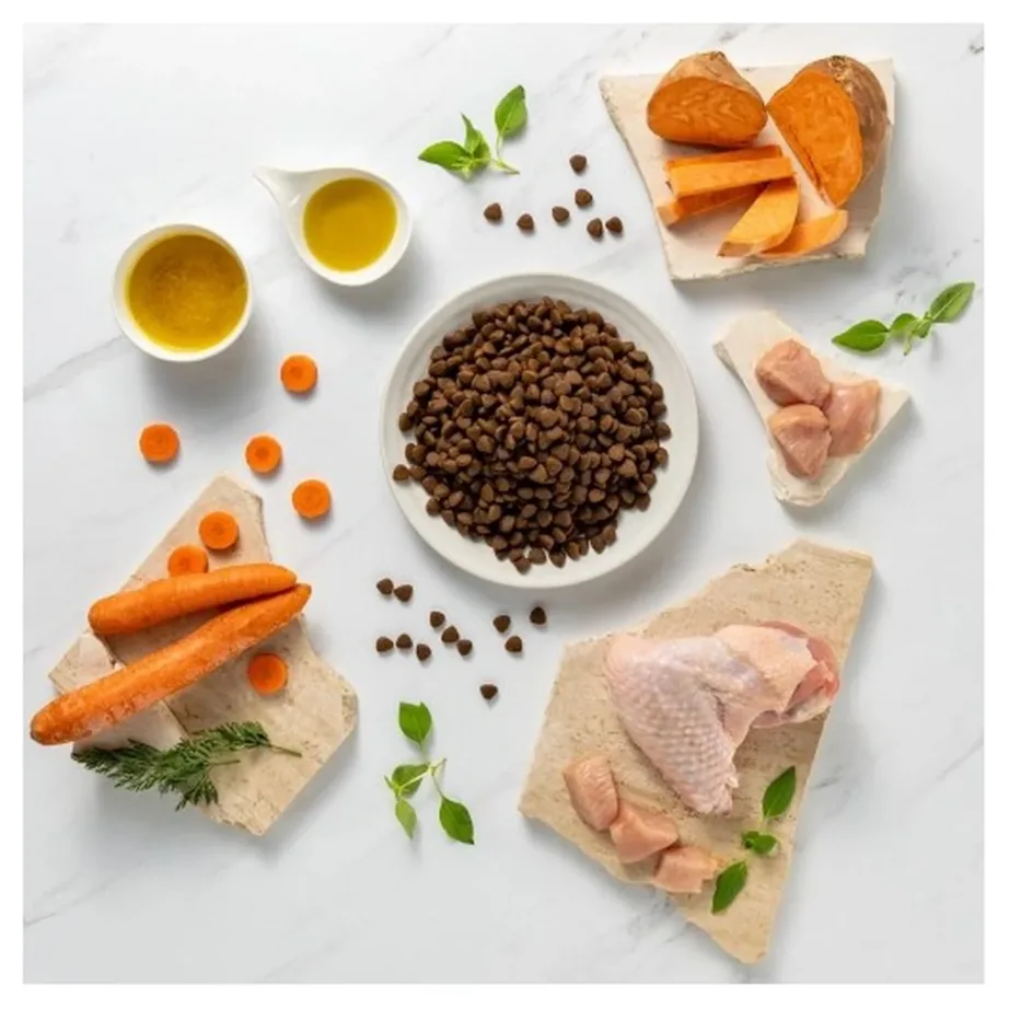 VetExpert Raw Paleo Ultra Medium & Large Turkey 10 kg teraviljavaba kuivtoit täiskasvanud keskmise ja suure tõugu koertele – 4