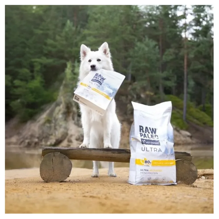 Koer ja VetExpert Raw Paleo Ultra Turkey kuivtoidu pakk looduses