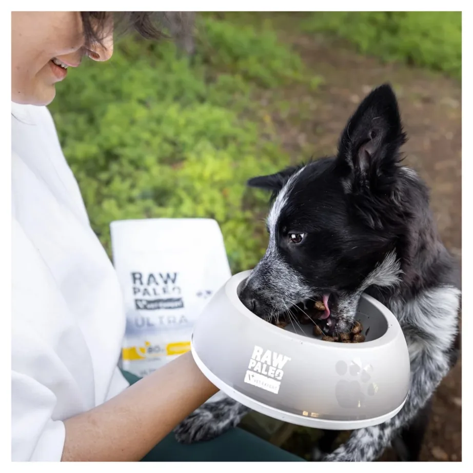 VetExpert Raw Paleo Ultra Medium&Large Puppy Turkey 2 kg gluteenivaba kuivtoit kalkuniga keskmistele ja suurtele kutsikatele – 6