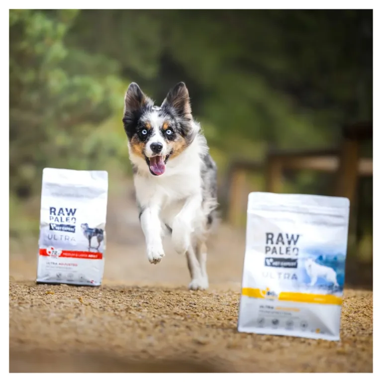 Kutsikas jookseb Raw Paleo Ultra toiduga