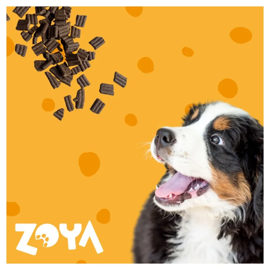 ZOYA ColdPRO Lamb 1 kg gluteenivaba monoproteiin kuivtoit täiskasvanud koertele – 2