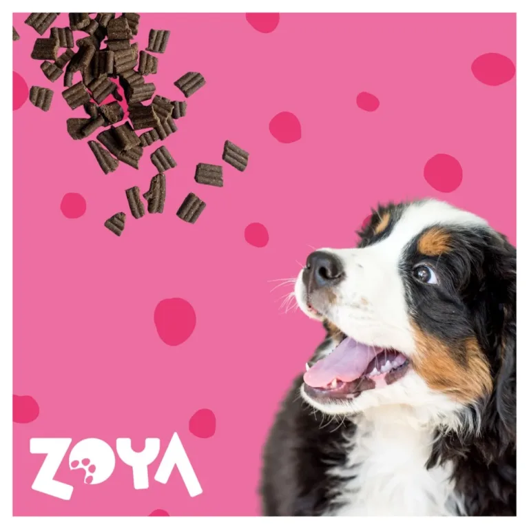 ZOYA ColdPRO veiselihaga gluteenivaba kuivtoit koertele, graanulid ja berni alpi koer