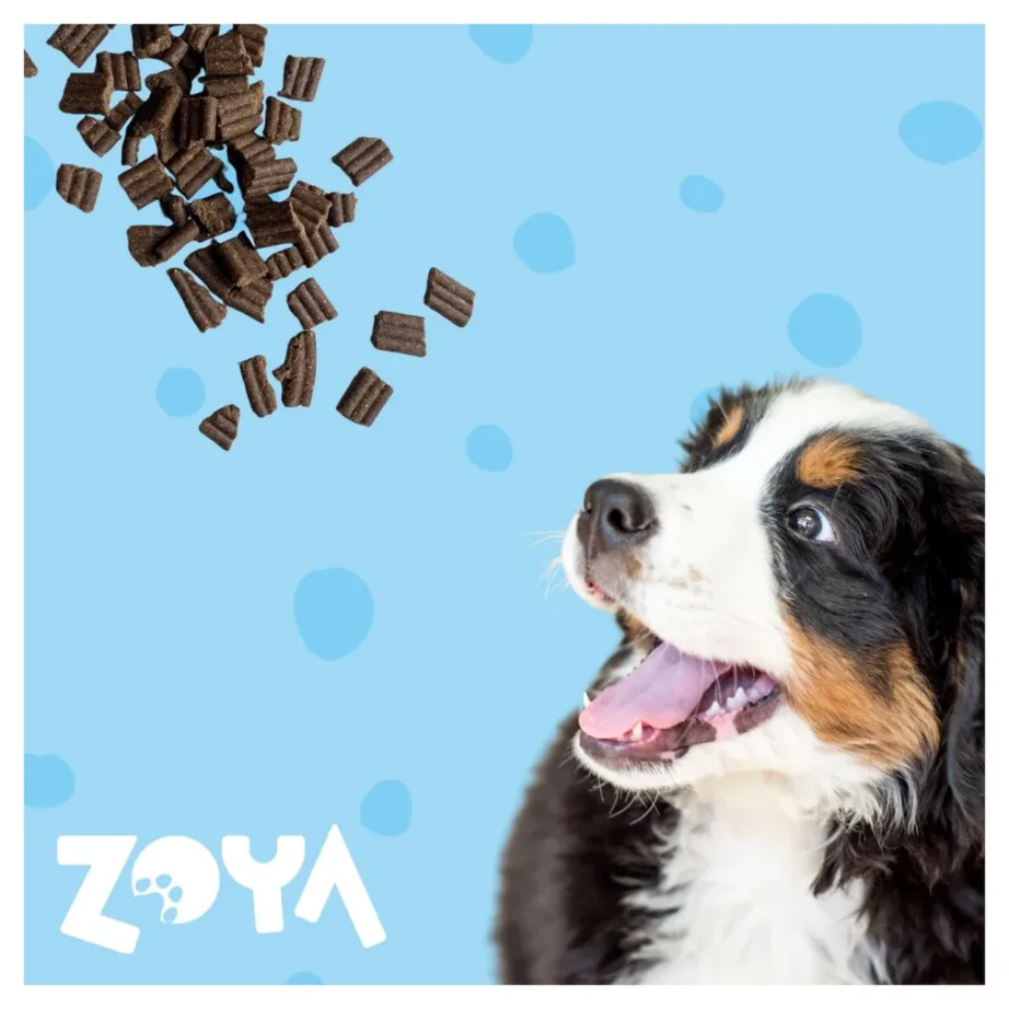 ZOYA ColdPRO Duck 3 kg gluteenivaba partliha kuivtoit täiskasvanud koertele, kana- ja sojavaba – 3