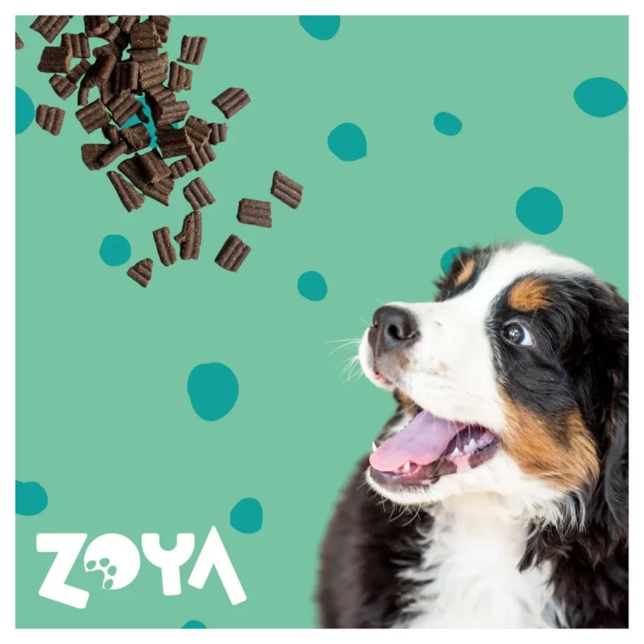 ZOYA ColdPRO Deer 9kg gluteenivaba hirveliha kuivtoit tundliku seedimisega täiskasvanud koertele – 3