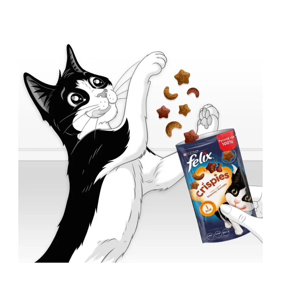 Felix Crispies veise- ja kanamaitseline kassi lihamaisu vitamiinidega 45 g – 4