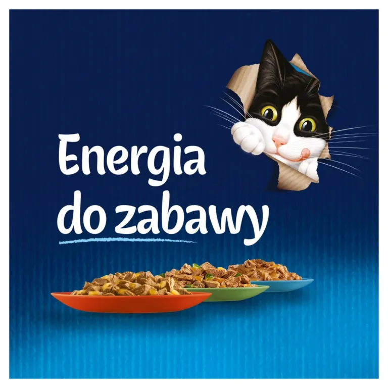 Felix kassitoit taldrikul - energia mänguks