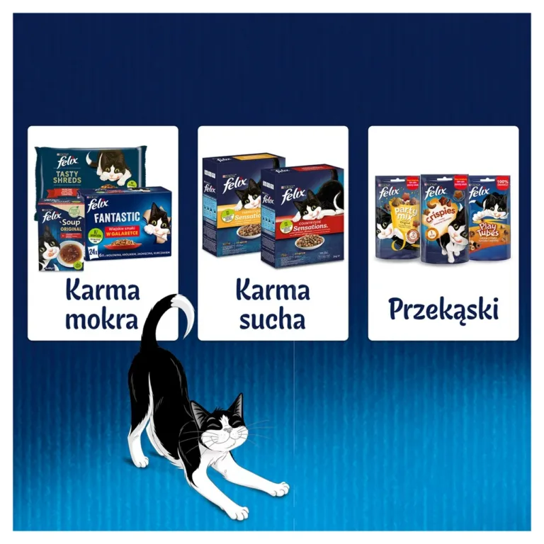 Felix märgtoit lambaga kassile PURINA brändi tooted