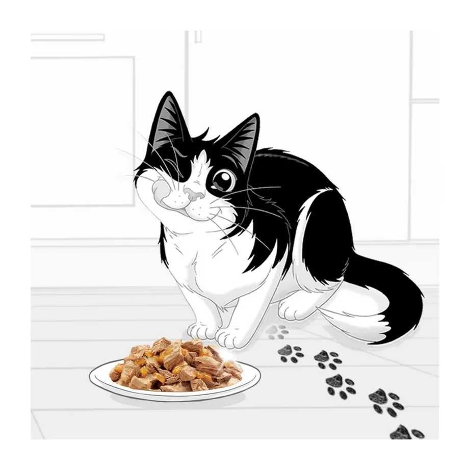 PURINA Felix Fantastic 24x85g veise-, kana-, jänese- ja lambalihaga märgtoit täiskasvanud kassidele – 3