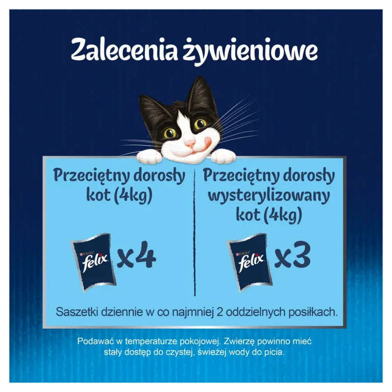 Felix Fantastic kassitoit, toitmiskoguse soovitus