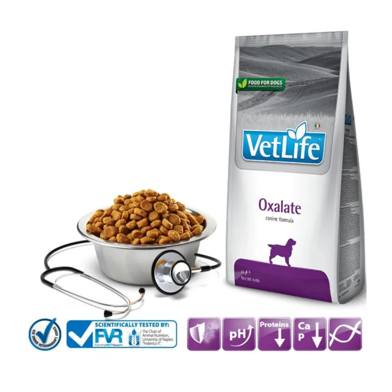 oksalaatkivide vastane koeratoit 2kg Farmina Vet Life kauss ja kott