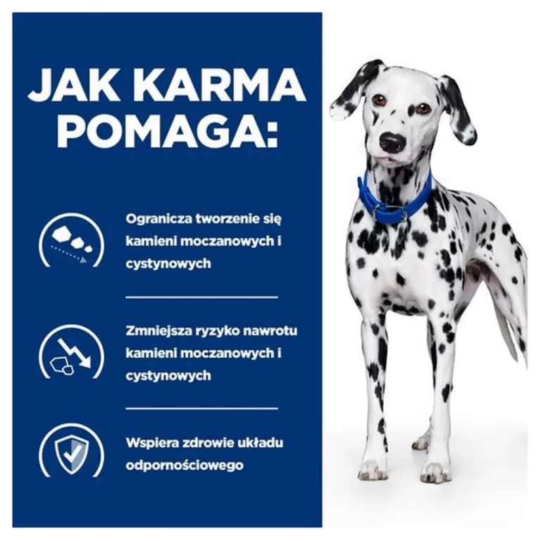 urinaarteedele mõeldud koeratoit Hill's kasud Dalmaatsia koeraga