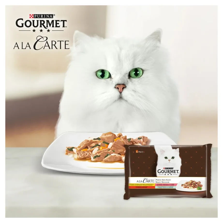 Purina Gourmet kass märgtoit karbil ja kass taldrikuga