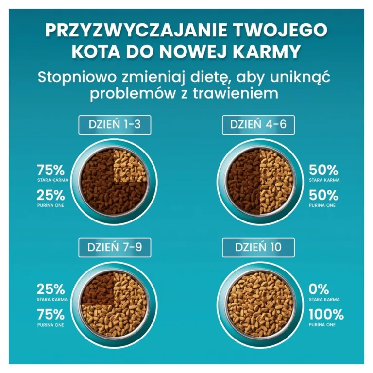 PURINA One Bifensis Sterilcat toitumine uue toiduga harjutamine