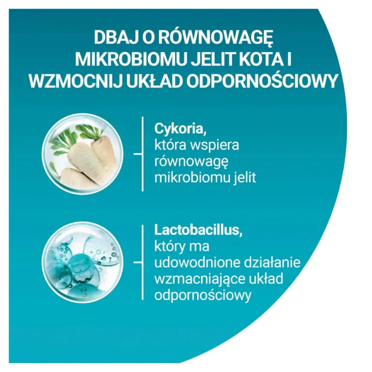 PURINA One Bifensis Sterilcat peamised koostisosad ja kasulikkus