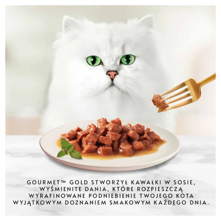 Valge kass taldriku ja kana-veiselihaga märgtoiduga