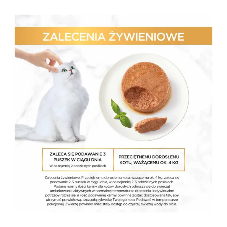 Valge pikakarvaline kass ja kalkunimaitseline konserv