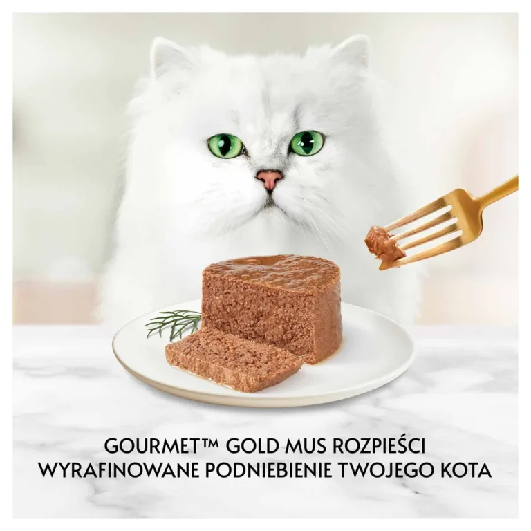 Valge kass, taldrikul mousse'i tükk ja kuldne kahvel