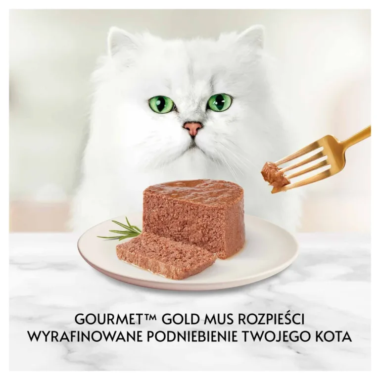 valge kass ja taldrikul veiselihaga märg kassitoit