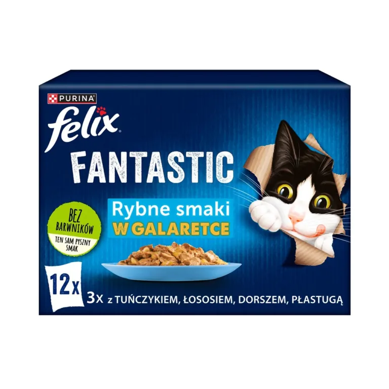 Felix Fantastic märgtoidu pakend kalamaitsete ja kassiga