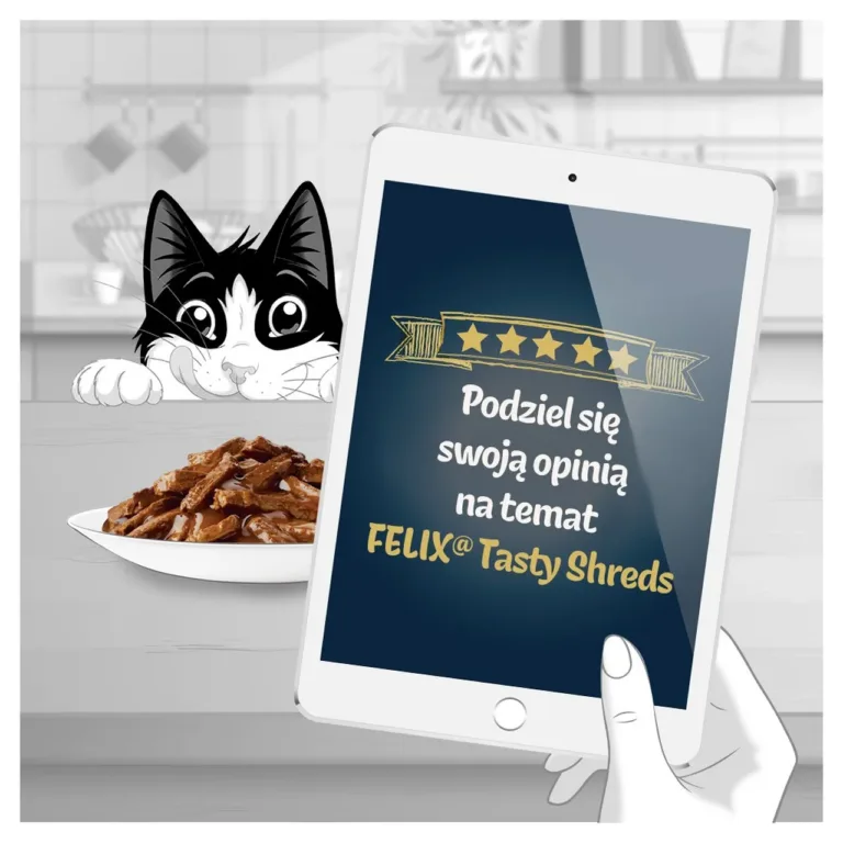 Purina Felix Tasty Shreds veise ja kanaga kassitoit ja kassiga