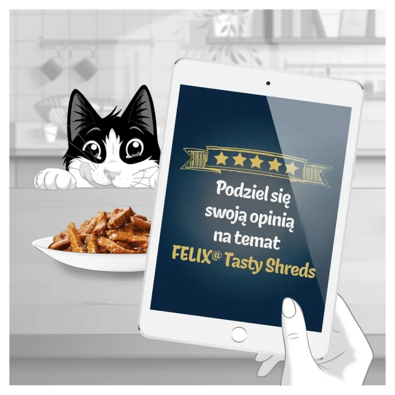 märgtoit kassile lõhe tuunikalaga Felix Tasty Shreds karikatuurne kass ja toit