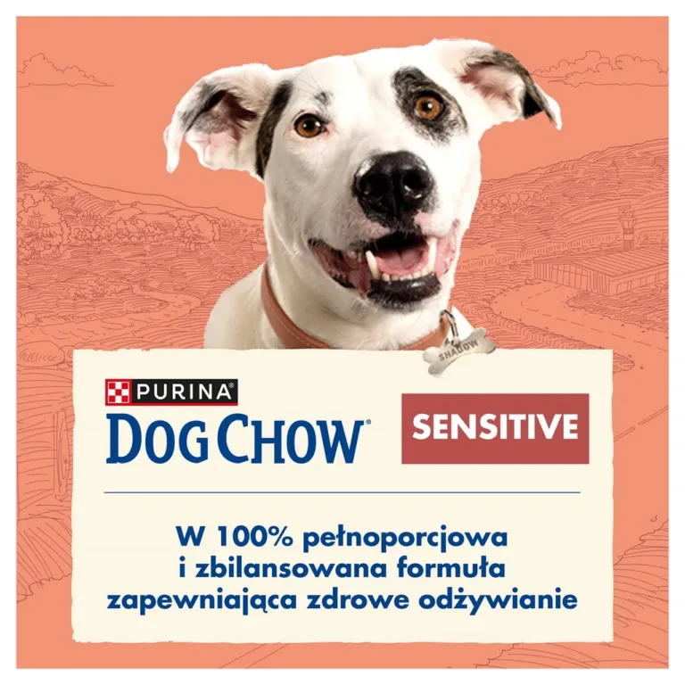 Purina Dog Chow lõhega kuivtoit täiskasvanud koerale