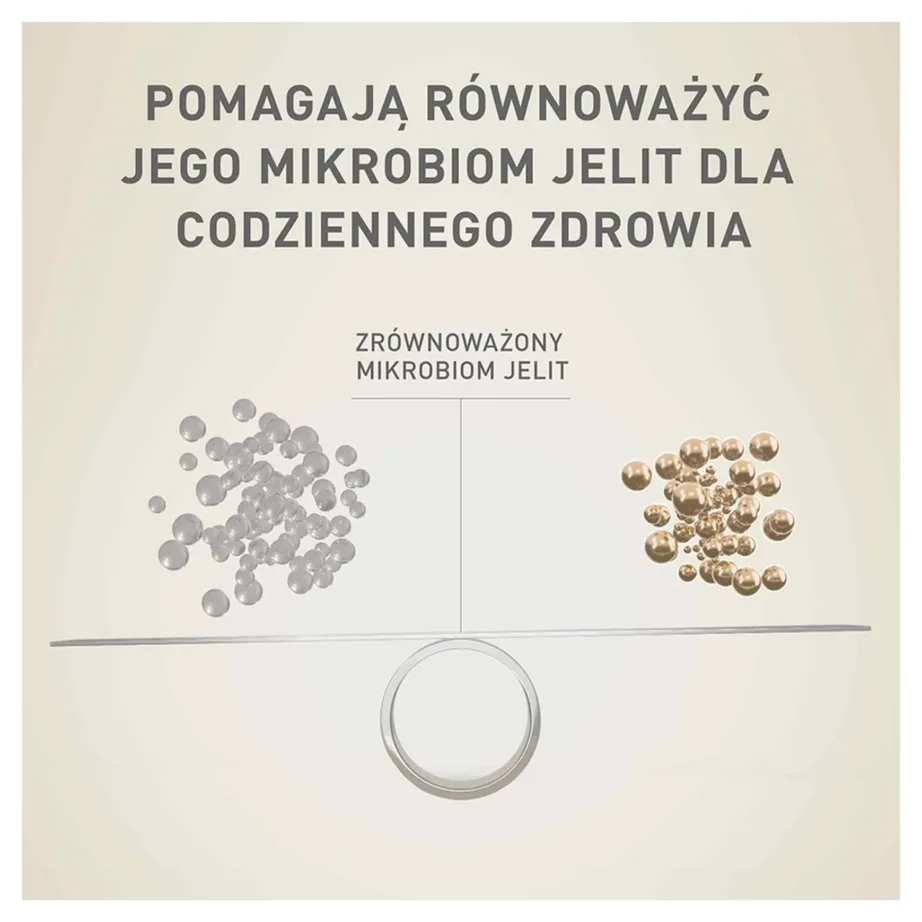 Purina ONE Mini/Small Sensitive lõhega kuivtoit väikestele vanematele koertele 800 g – 4