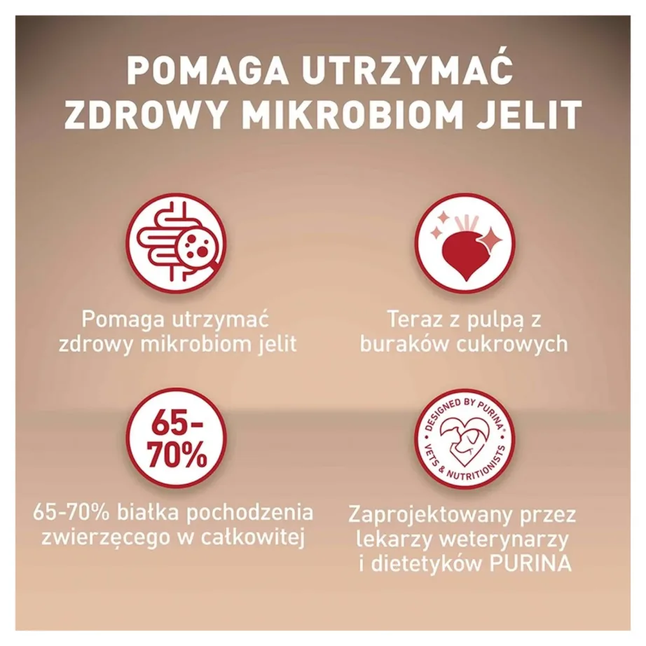 Purina ONE Mini/Small Sensitive lõhega kuivtoit väikestele vanematele koertele 800 g – 6