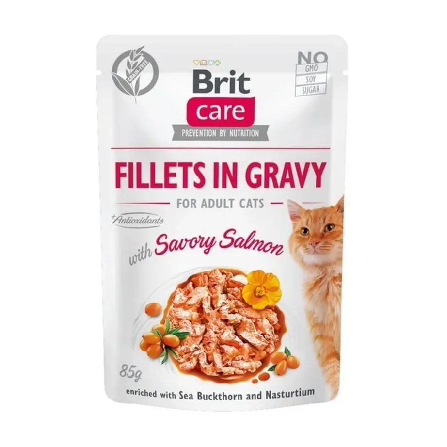 lõhega märgtoit kassile Brit Care pakend 85g