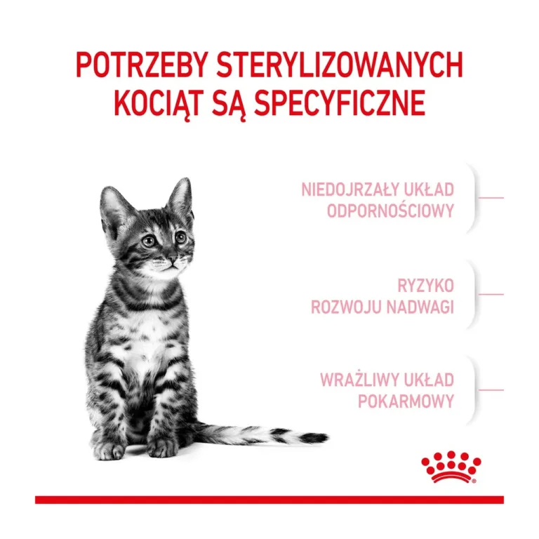 Steriliseeritud kassipoegade spetsiaalsed vajadused Royal Canin