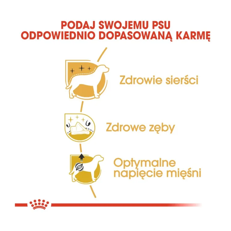 Royal Canin puudli kuivtoidu kasulikkused ikoonidega