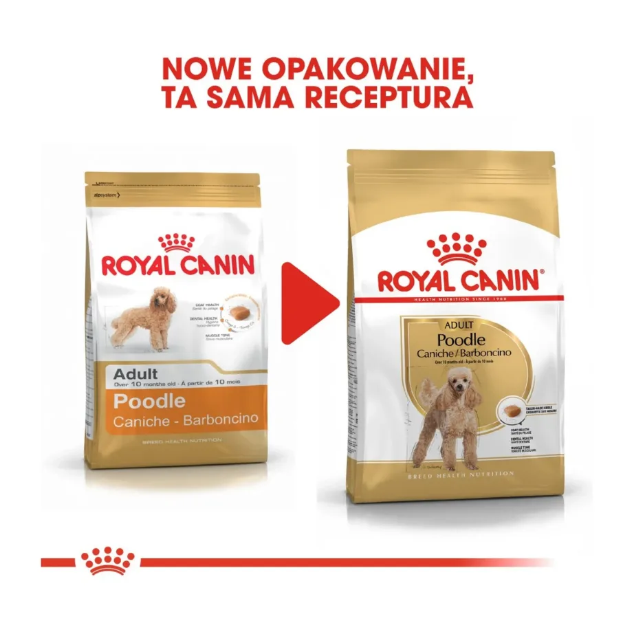 Royal Canin Poodle Adult 1,5 kg kanamaitseline kuivtoit täiskasvanud puudlitele, vitamiinide ja antioksüdantidega – 9