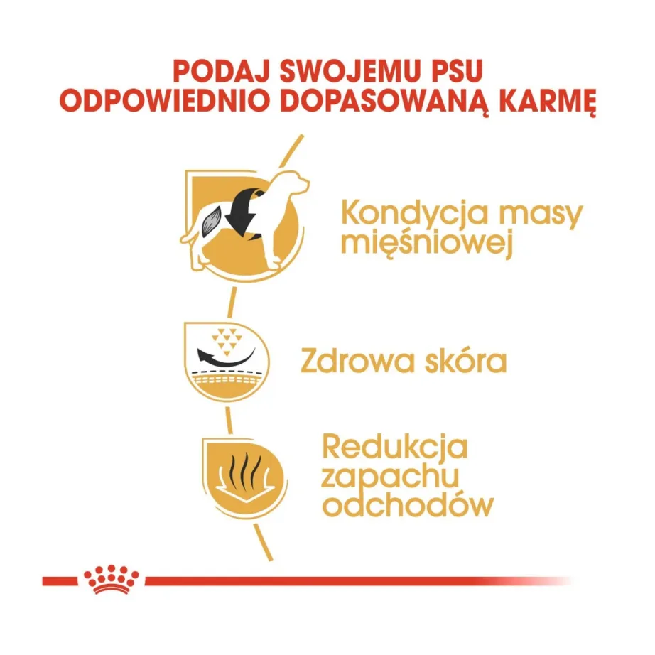 Royal Canin Breed Health Nutrition French Bulldog Adult 9 kg kuivtoit sealiha maitsega keskmist tõugu täiskasvanud koertele – 4