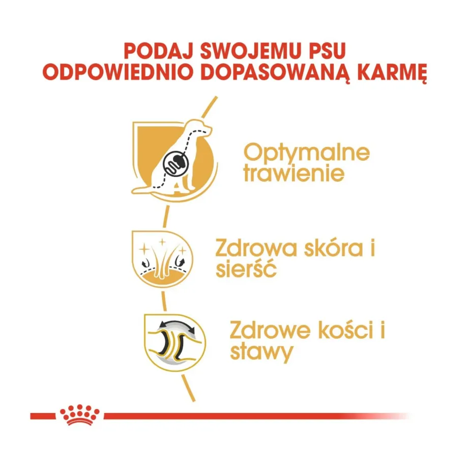 Royal Canin German Shepherd Adult 11kg kuivtoit suurtele saksa lambakoertele – 5