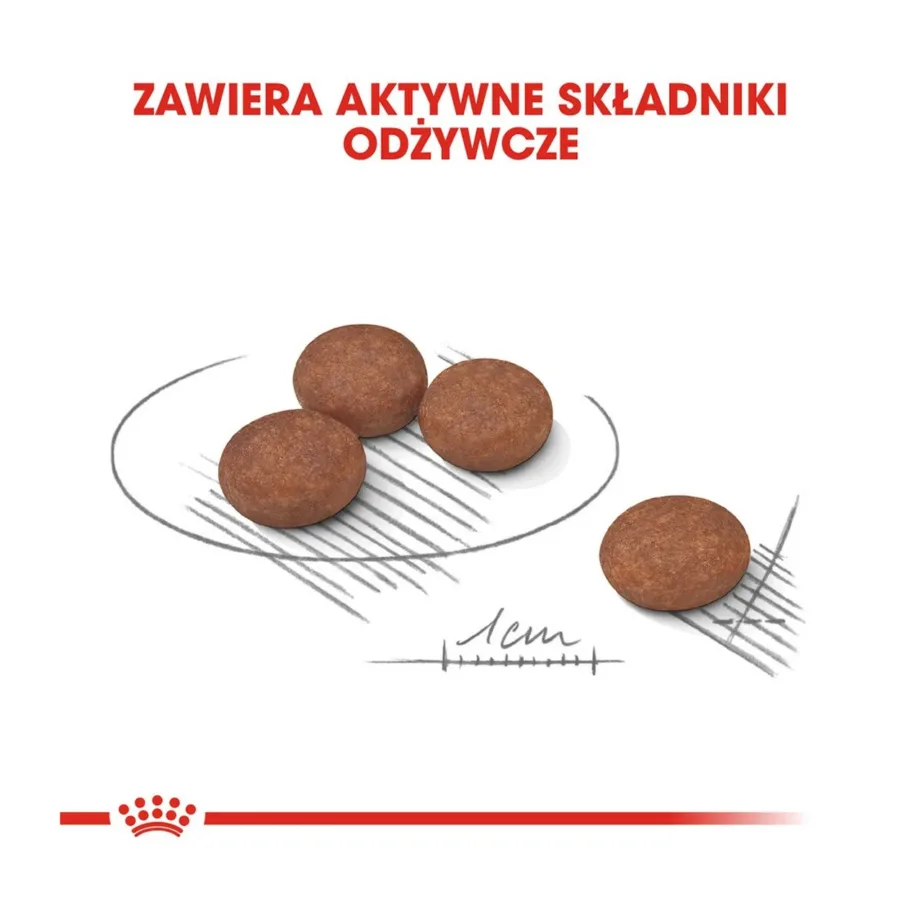 Royal Canin Mini Digestive Care 1 kg kuivtoit väikest tõugu täiskasvanud koertele seedimise toetuseks – 4