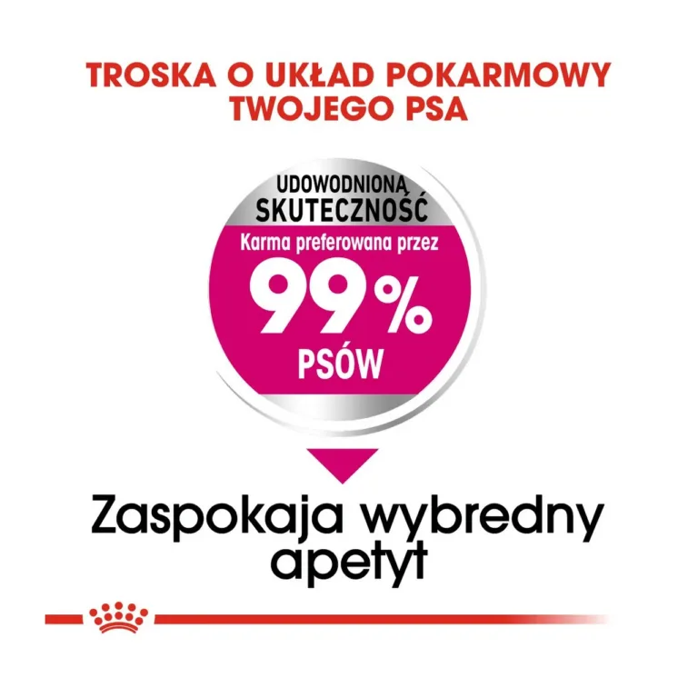 Royal Canin Mini Exigent koeratoit, valiku eelistus 99%