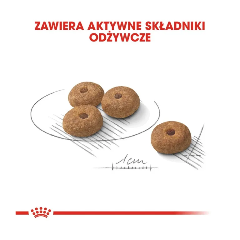 Steriliseeritud väikese koera kuivtoit Royal Canin krõbinad