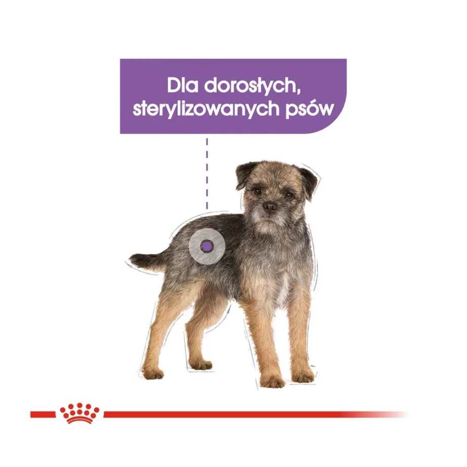 Royal Canin Mini Sterilised Care Nutrition 1 kg kuivtoit steriliseeritud väikest tõugu täiskasvanud koertele – 5