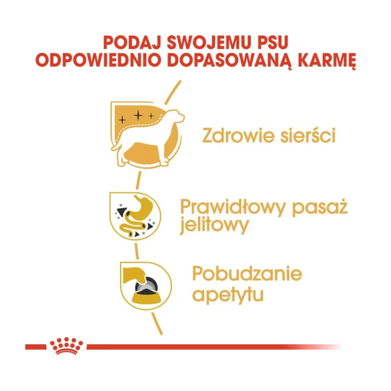 Royal Canin chihuahua märgtoidu kasulikkusikoonid