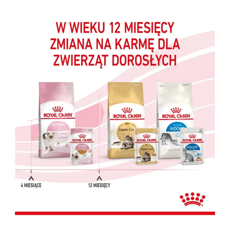 Royal Canin kassipoegade märgtoidu üleminek eakatele