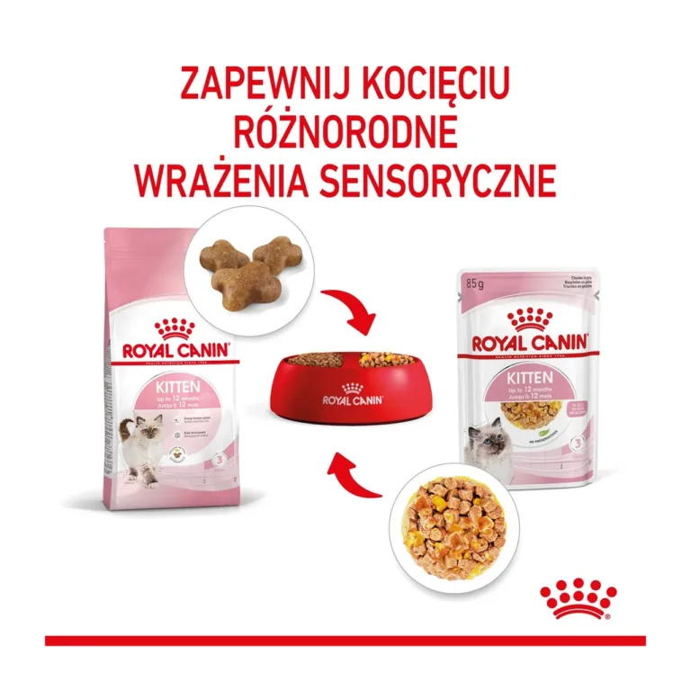 Royal Canin Kitten märgtoit kuivtoidu ja želeega serveeritult