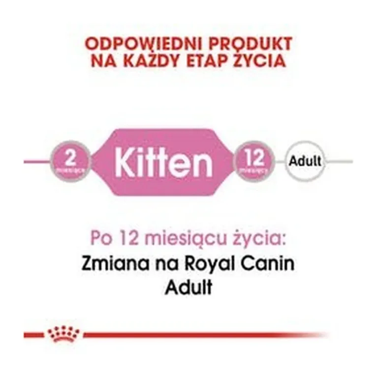 Royal Canin üleminekutoidugraafik kassipoegadele