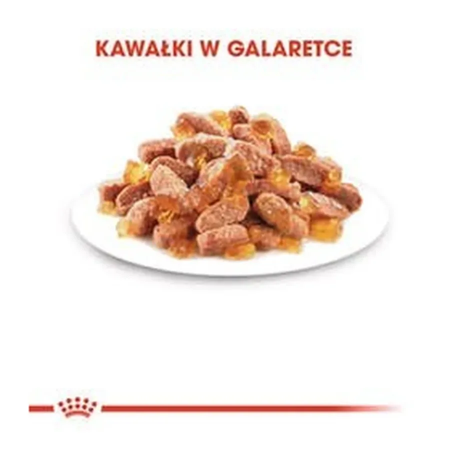 Royal Canin Feline Health Nutrition Kitten 12x85g kanamaitseline märgtoit kassipoegadele – 13