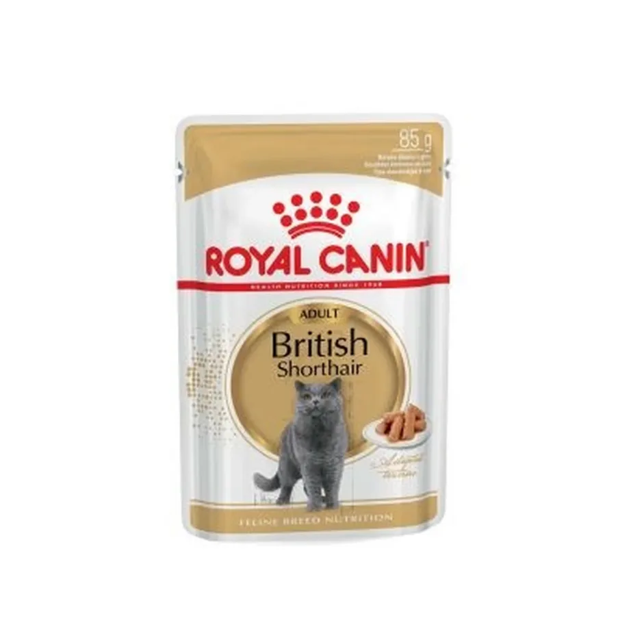 Royal Canin British Shorthair 12x85g linnulihaga täiskasvanud kasside märgtoit – 2