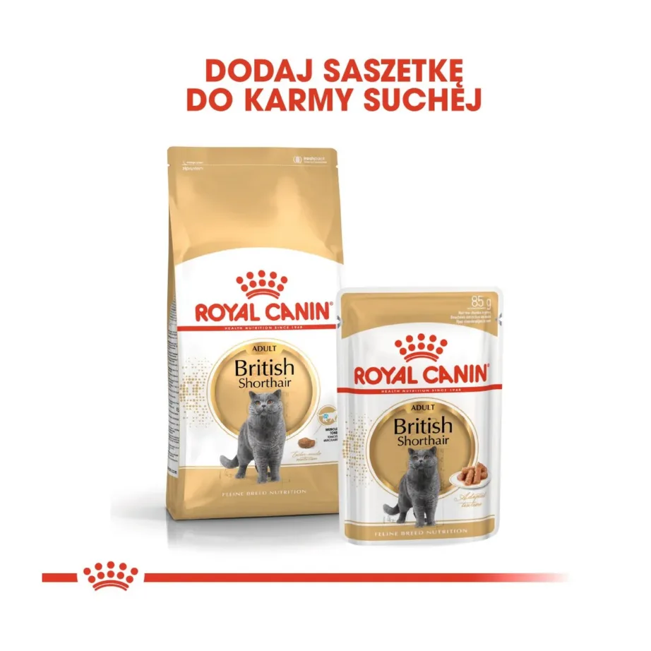 Royal Canin British Shorthair 12x85g linnulihaga täiskasvanud kasside märgtoit – 4