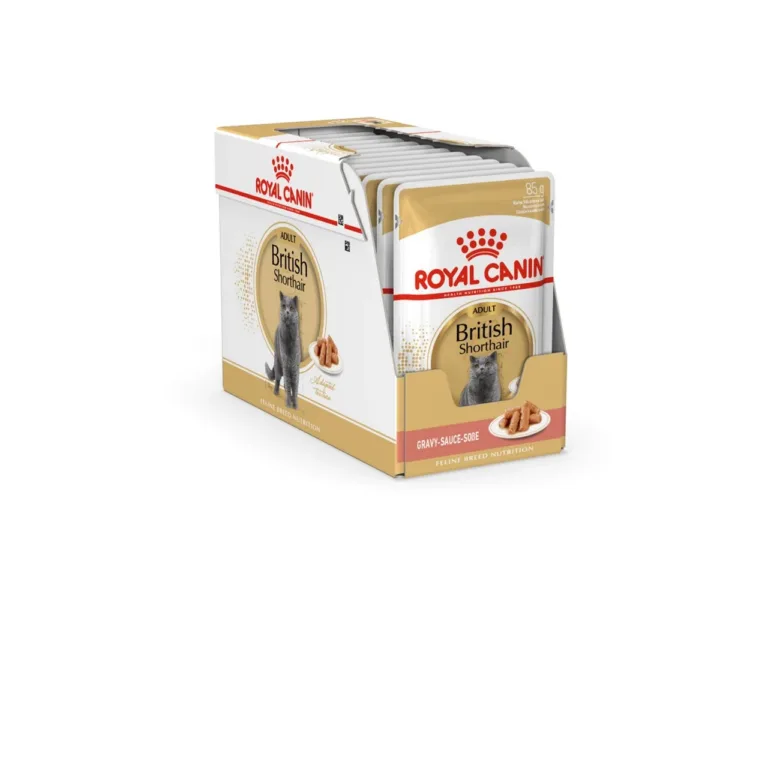 Royal Canin British Shorthair märgtoidu 12-pakk karbis