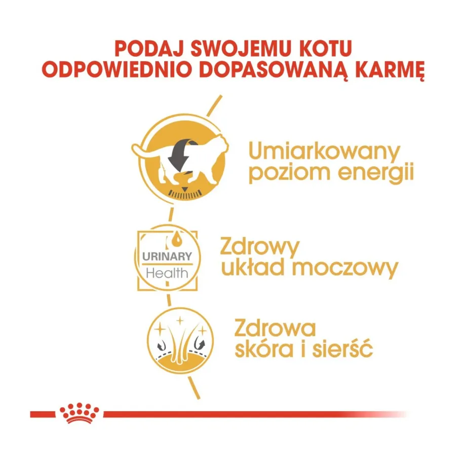 Royal Canin British Shorthair 12x85g linnulihaga täiskasvanud kasside märgtoit – 10