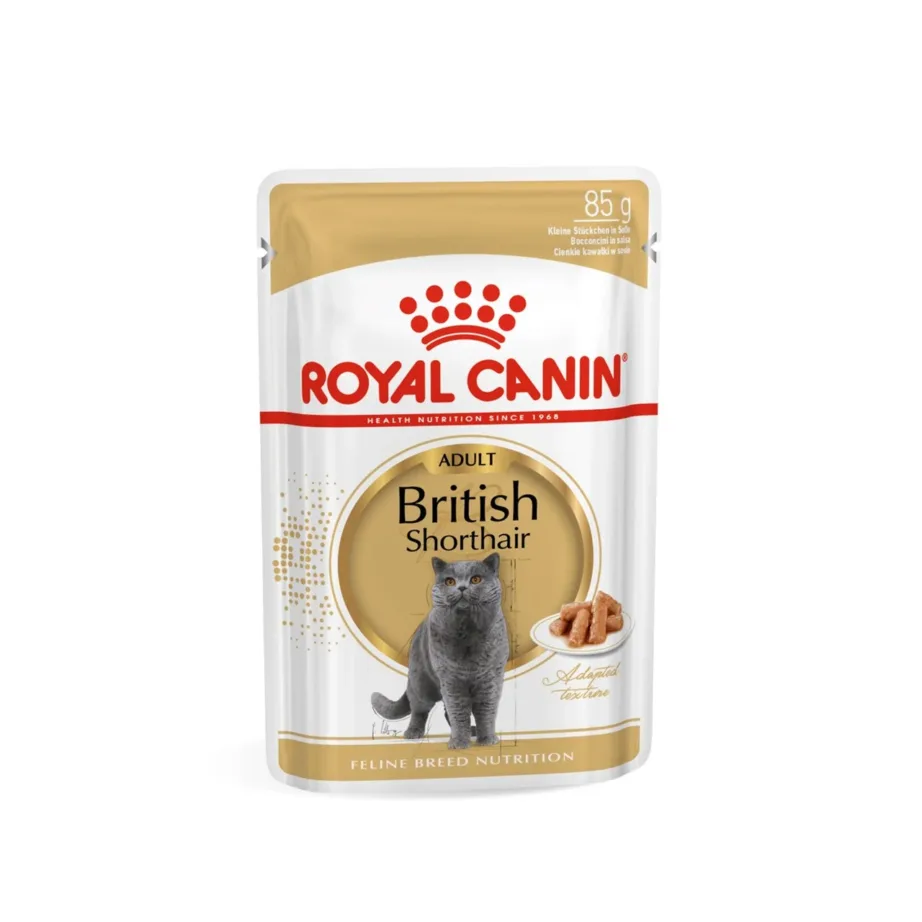 Royal Canin British Shorthair 12x85g linnulihaga täiskasvanud kasside märgtoit